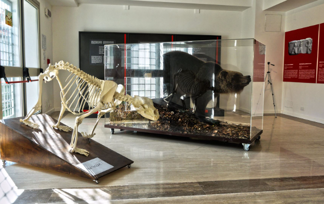MAC - Museo Archeologico del Cicolano